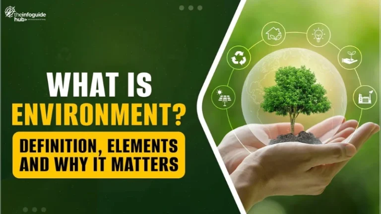 What Is the Environment what is environment what is business environment what is meant by environment what is the meaning of environment what is environment science what is natural environment what is the definition of environment what is environment class 7 what is environment answer what is environment pdf what is the threat to the environment what is environment short answer what is marketing environment what is economic environment what is environment class 10 what is human environment what is a sandbox environment what is environment day what is sandbox environment what is world environment day in a competitive environment what skill is often enhanced what is micro environment what is social environment what is artificial environment mcq what is environment in kannada what is meant by business environment what is physical environment what is political environment what is the spelling of environment what is the theme of world environment day 2023 what is environment in hindi what is macro environment what is the meaning of environment in hindi what is the theme of world environment day 2022 what is the theme of world environment day 2024 what kind of environment is strategic in artificial intelligence what is legal environment what is runtime environment what is technological environment what is the importance of environment what is uat environment what is virtual environment in python what kind of economic environment is the income level what is a hostile work environment what is a virtual environment what is external environment what is human made environment what is internal environment what is staging environment what is the major threat to the environment what is the significance of business environment mcq what is the theme of world environment day
