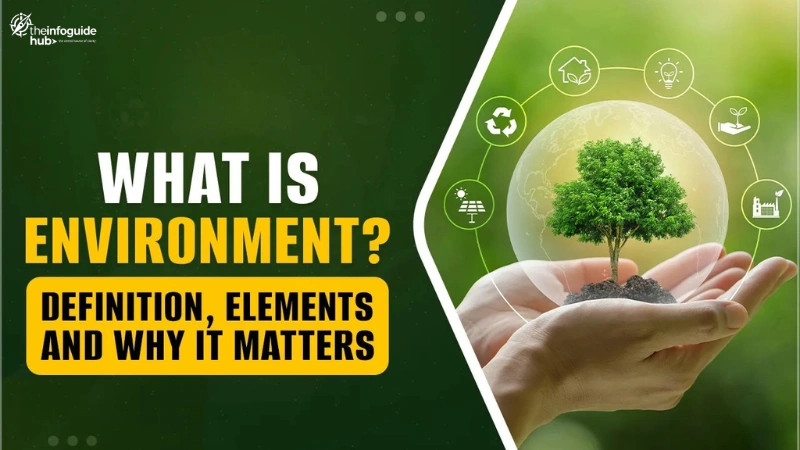 What Is the Environment what is environment what is business environment what is meant by environment what is the meaning of environment what is environment science what is natural environment what is the definition of environment what is environment class 7 what is environment answer what is environment pdf what is the threat to the environment what is environment short answer what is marketing environment what is economic environment what is environment class 10 what is human environment what is a sandbox environment what is environment day what is sandbox environment what is world environment day in a competitive environment what skill is often enhanced what is micro environment what is social environment what is artificial environment mcq what is environment in kannada what is meant by business environment what is physical environment what is political environment what is the spelling of environment what is the theme of world environment day 2023 what is environment in hindi what is macro environment what is the meaning of environment in hindi what is the theme of world environment day 2022 what is the theme of world environment day 2024 what kind of environment is strategic in artificial intelligence what is legal environment what is runtime environment what is technological environment what is the importance of environment what is uat environment what is virtual environment in python what kind of economic environment is the income level what is a hostile work environment what is a virtual environment what is external environment what is human made environment what is internal environment what is staging environment what is the major threat to the environment what is the significance of business environment mcq what is the theme of world environment day