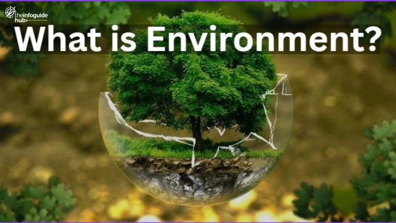 what is an environmental what is environment what is business environment what is meant by environment what is the meaning of environment what is environment science what is natural environment what is the definition of environment what is environment class 7 what is environment answer what is environment pdf what is the threat to the environment what is environment short answer what is marketing environment what is economic environment what is environment class 10 what is human environment what is a sandbox environment what is environment day what is sandbox environment what is world environment day in a competitive environment what skill is often enhanced what is micro environment what is social environment what is artificial environment mcq what is environment in kannada what is meant by business environment what is physical environment what is political environment what is the spelling of environment what is the theme of world environment day 2023 what is environment in hindi what is macro environment what is the meaning of environment in hindi what is the theme of world environment day 2022 what is the theme of world environment day 2024 what kind of environment is strategic in artificial intelligence what is legal environment what is runtime environment what is technological environment what is the importance of environment what is uat environment what is virtual environment in python what kind of economic environment is the income level what is a hostile work environment what is a virtual environment what is external environment what is human made environment what is internal environment what is staging environment what is the major threat to the environment what is the significance of business environment mcq what is the theme of world environment day